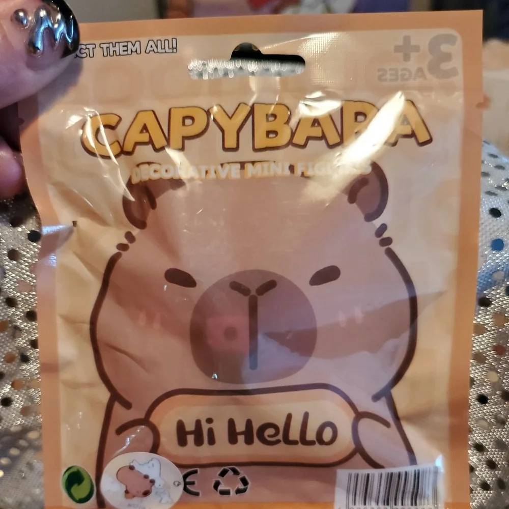 Cutey Capybara Mystery Bag. 1 random keychain, & 3 random cards